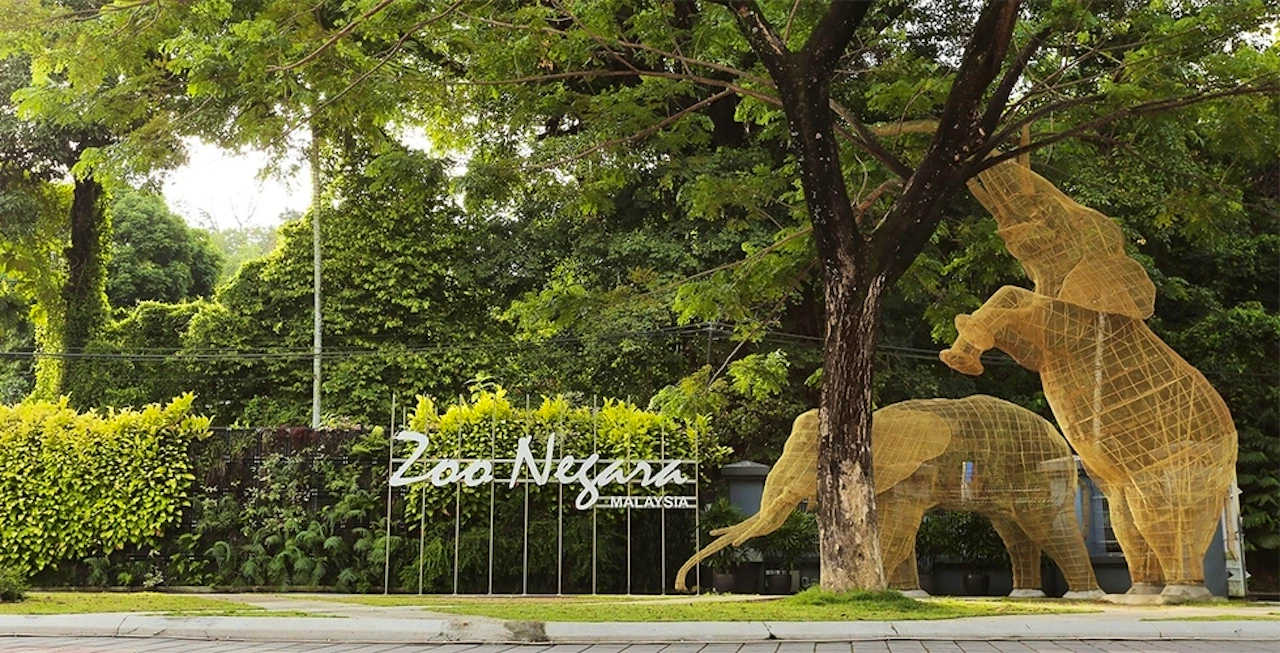 Zoo Negara & Panda Conservation Centre Malaysia Review